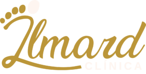 Ilmard-11.png